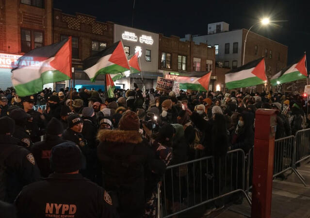 Stolen Land Sale Protest Boro Park 2/18/25 (Credits: Ian Barlett)